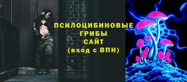 шишки Армянск