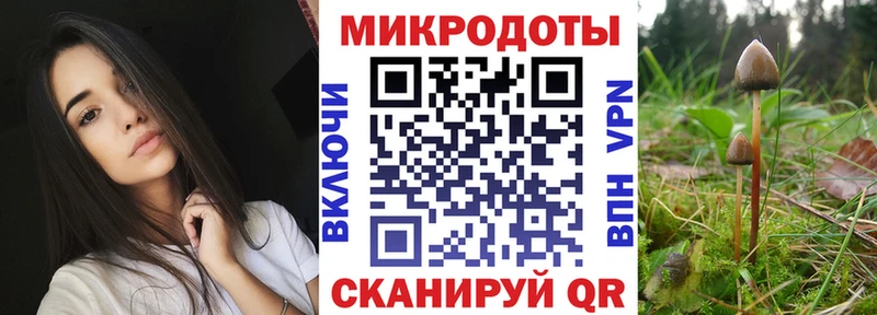 купить наркоту  Ковров  Псилоцибиновые грибы Psilocybine cubensis 